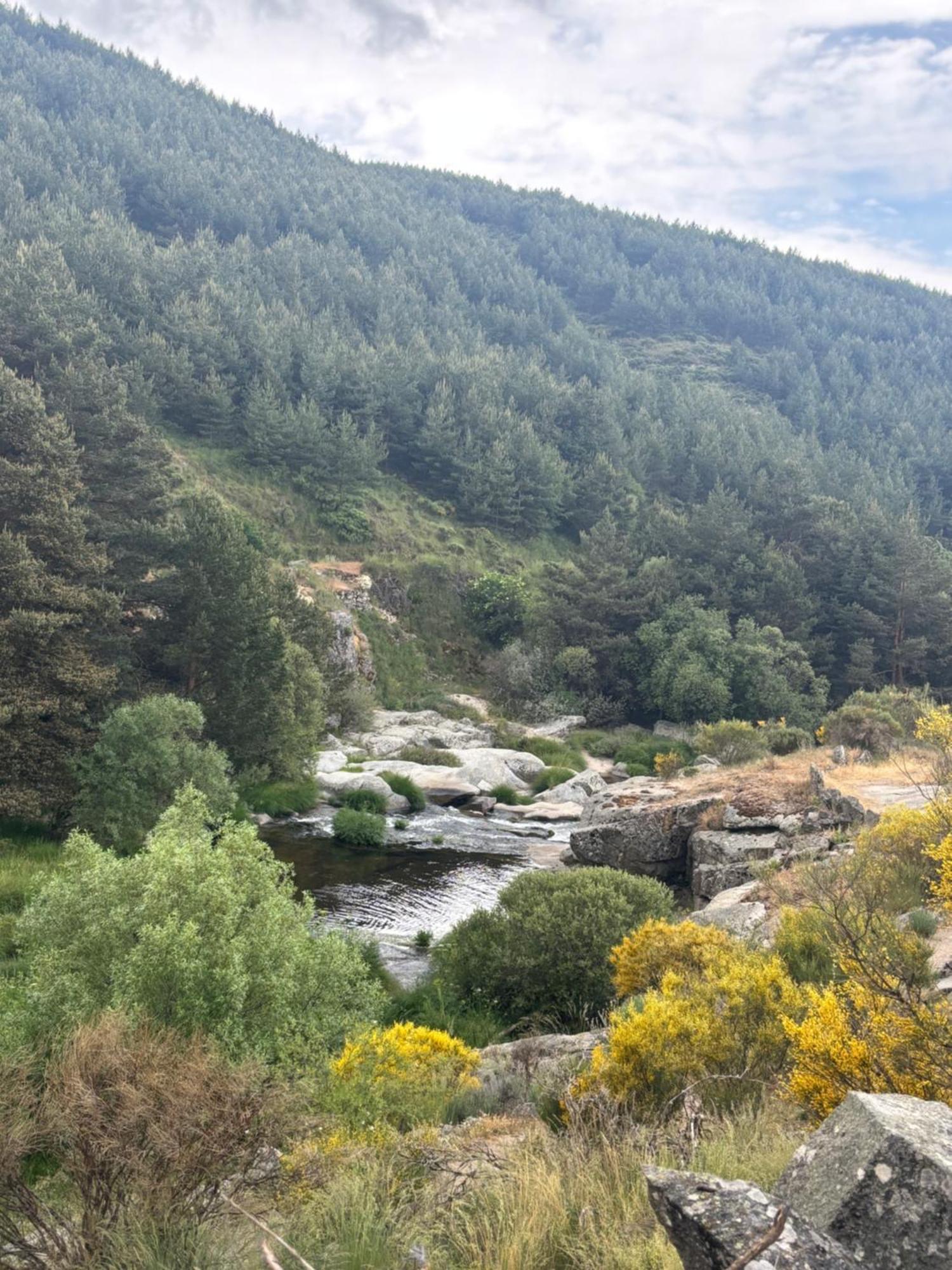 Villa De Gredos Navarredonda de Gredos Luaran gambar